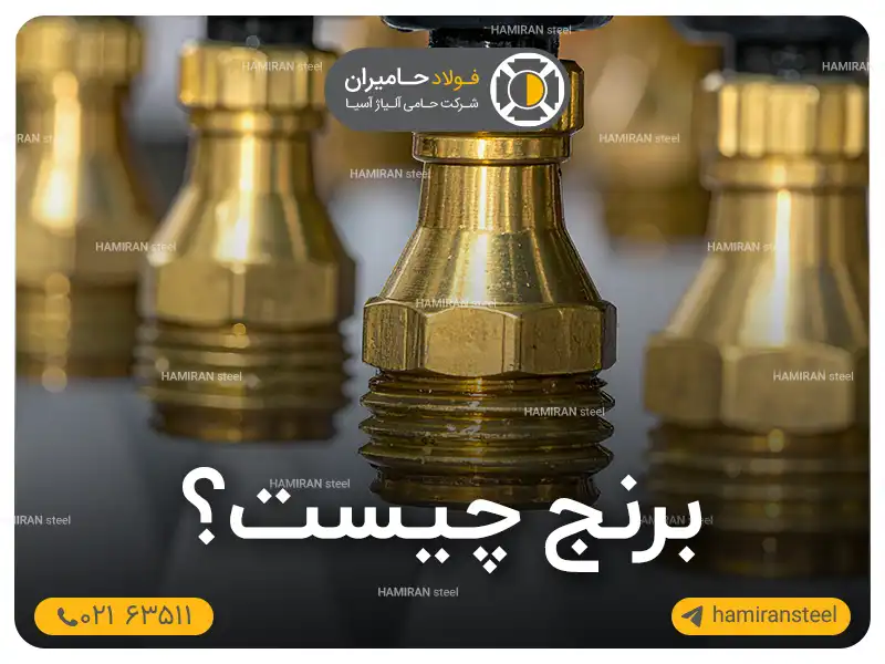 برنج چیست؟ بررسی خواص و فرآیند تولید آن