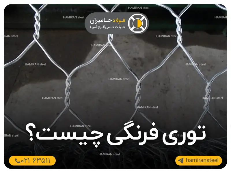 توری فرنگی چیست؟ انواع و کاربردها