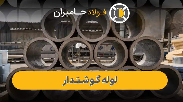 لوله گوشتی