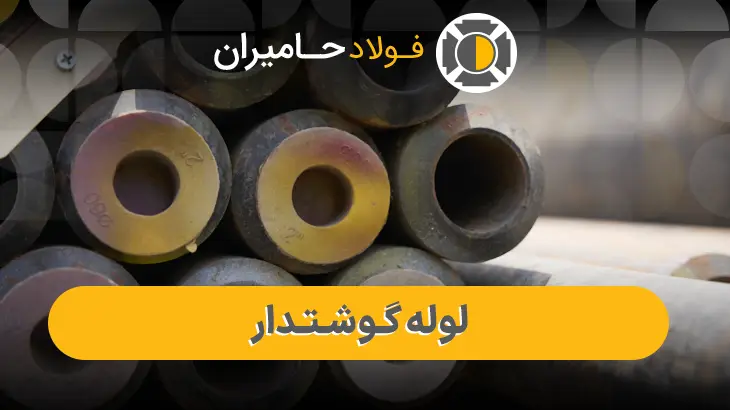 لوله گوشتدار