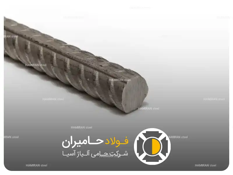 شاخه ای، کیلویی یا بندیلی؛ کدام روش خرید مناسب تر است؟