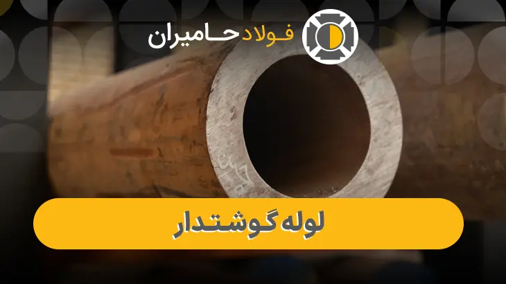 خرید لوله گوشت دار